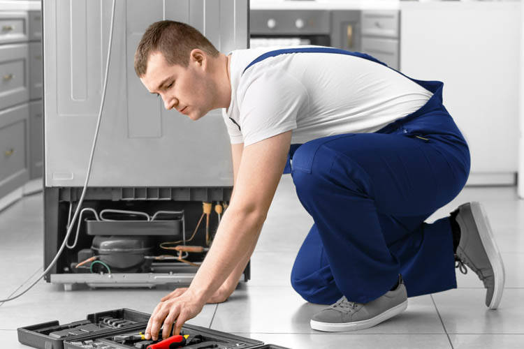 Appliance Repair Professionals